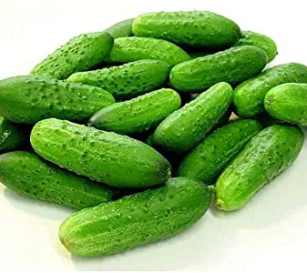 National Pickling Cucumber Seeds - 50 Seeds NON-GMO