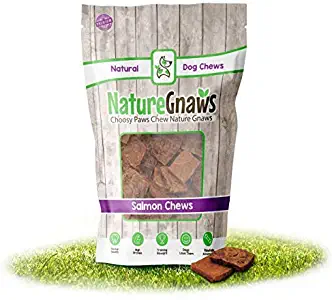 Nature Gnaws Smoked Salmon Jerky Bites for Dogs - Premium Natural Grain Free Dog Chew Treats - Simple Fish and Sweet Potato Receipe