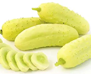 Salt and Pepper Organic Pickling Cucumber Seeds by Stonysoil Seed Company