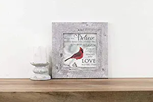 Summer Snow When You Believe Beyond What Your Eyes Can See Miracles Heaven Red Cardinal Decor Art Picture Sign