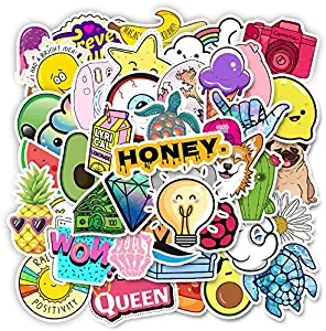 Laptop Stickers Hydro Flasks Decals 50 Pack for iPad MacBook Phone Skateboard Water Bottles Car Teens Stickers