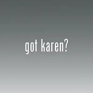 Got Karen -die Cut - Vinyl- Die Cut Decal Bumper Sticker For Windows, Cars, Trucks, Laptops, Etc.