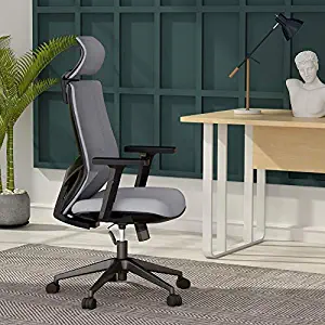Ergonomic Office Desk Chair, Mesh Chair with Lumbar Support, Tribesigns High Back Computer Chair with Breathable Mesh, Thick Seat Cushion, Adjustable Armrest and Backrest