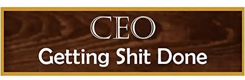 Desk Name Plate Engraved Name Plate Funny Name Plate Office Name Plate Office Desk Office Gift Funny Sign Name Plates Style-CEO of Getting Shit Done
